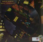 VINYLE DAVID BOWIE THE RISE AND FALL OF ZIGGY STARDUST PICTURE DISC RECTO
