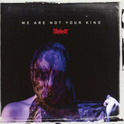 vinyle slipknot we are not your kind bleu recto