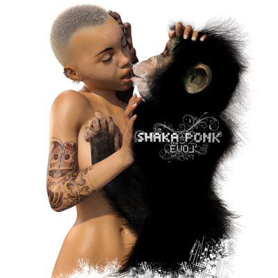 vinyle shaka ponk the evol recto