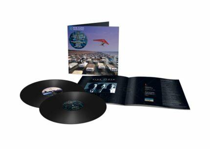 vinyle pink floyd a momentary lapse of reason