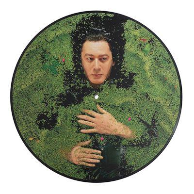 vinyle picture disc alain bashung fantaisie militaire recto