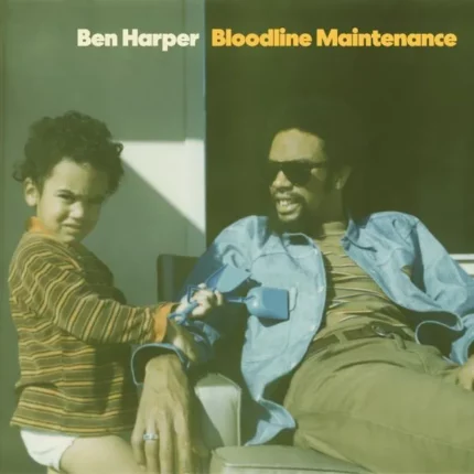 vinyle ben harper bloodline maintenance recto