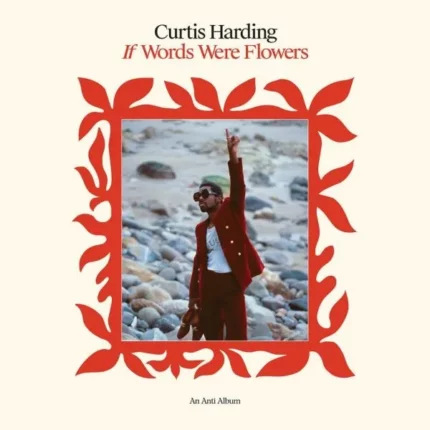 Vinyle cristal transparent curtis harding if words were flowers recto